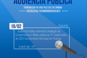 Audiência Pública - 19/02/2025